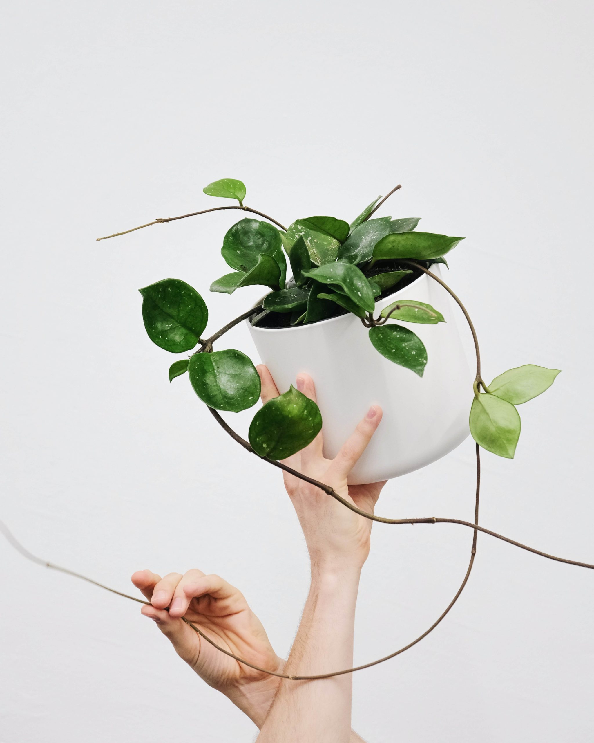 severin-candrian-0M1QwymIzxw-unsplash (1)